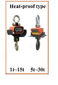 Crane Scale